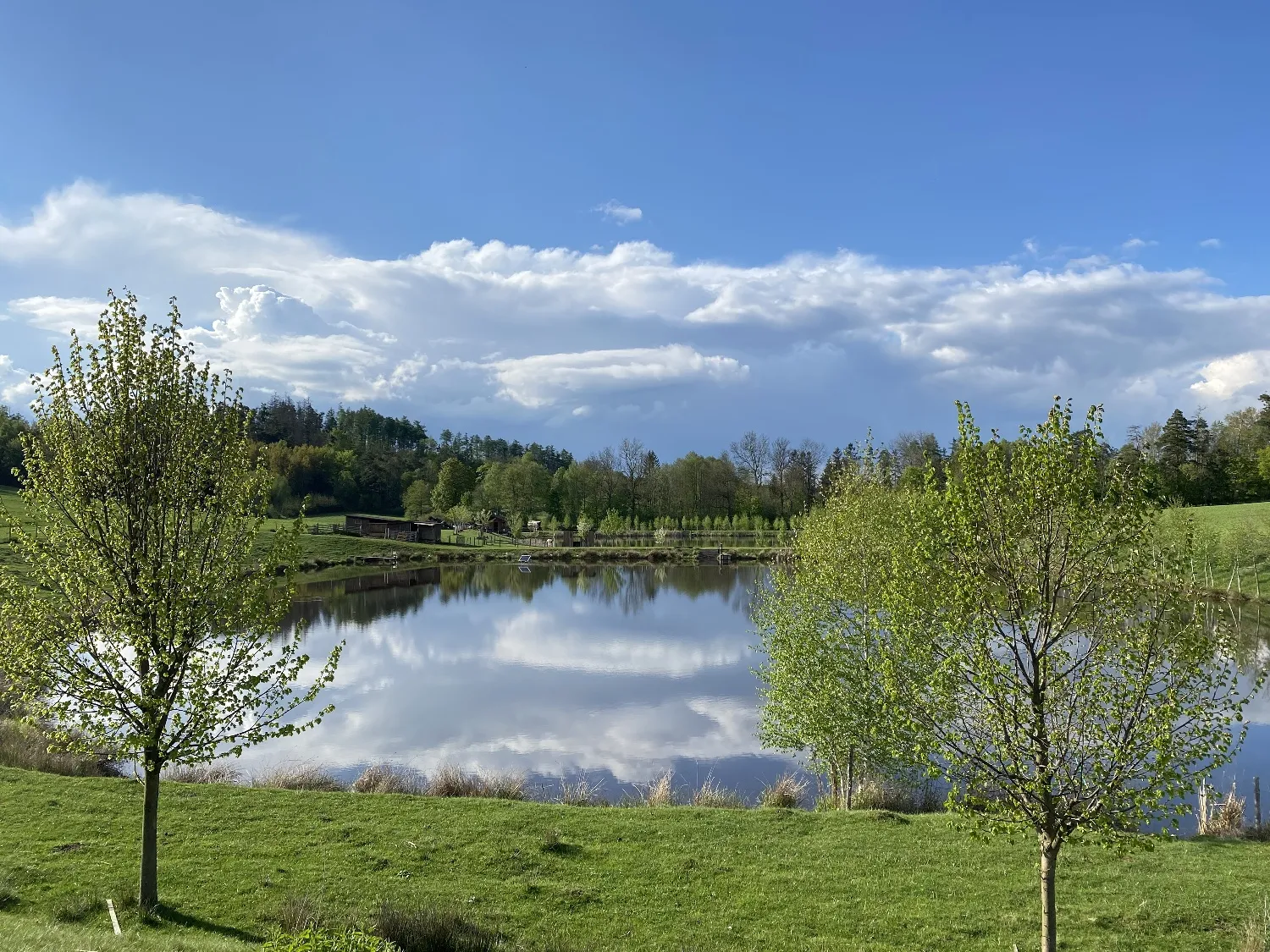 Prostřední rybník